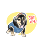 毎日使えるモフ語録！（個別スタンプ：25）