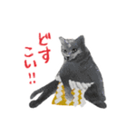 毎日使えるモフ語録！（個別スタンプ：28）
