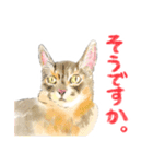 毎日使えるモフ語録！（個別スタンプ：31）