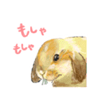毎日使えるモフ語録！（個別スタンプ：35）