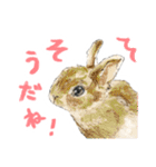 毎日使えるモフ語録！（個別スタンプ：39）