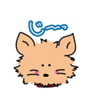 わんことなかよしフレーズ（個別スタンプ：5）