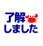 ずっと使えるデカ文字優しい気遣い 夏（個別スタンプ：29）