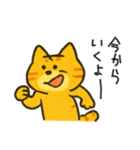 まいにちネコ感情（個別スタンプ：3）