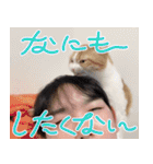 祝30歳！ばにぃさんスタンプ【日常編】（個別スタンプ：11）