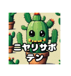 とげとげサボテンのゆるカワ表情スタンプ（個別スタンプ：1）