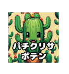 とげとげサボテンのゆるカワ表情スタンプ（個別スタンプ：23）