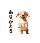 動く！ダックスフント（個別スタンプ：2）