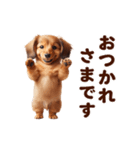 動く！ダックスフント（個別スタンプ：4）