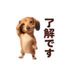 動く！ダックスフント（個別スタンプ：6）