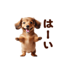 動く！ダックスフント（個別スタンプ：14）