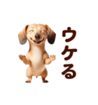 動く！ダックスフント（個別スタンプ：18）