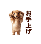 動く！ダックスフント（個別スタンプ：19）