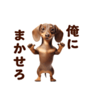 動く！ダックスフント（個別スタンプ：20）