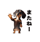 動く！ダックスフント（個別スタンプ：24）