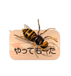 スマホの上のスズメバチ5《関西弁》（個別スタンプ：17）