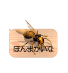 スマホの上のスズメバチ5《関西弁》（個別スタンプ：21）