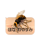 スマホの上のスズメバチ5《関西弁》（個別スタンプ：24）
