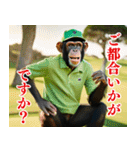 チンパのゴルファー 【毎日使える】2（個別スタンプ：4）