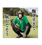 チンパのゴルファー 【毎日使える】2（個別スタンプ：5）