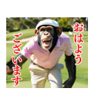チンパのゴルファー 【毎日使える】2（個別スタンプ：7）