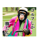 チンパのゴルファー 【毎日使える】2（個別スタンプ：13）