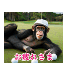 チンパのゴルファー 【毎日使える】2（個別スタンプ：17）