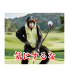 チンパのゴルファー 【毎日使える】2（個別スタンプ：19）