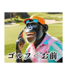 チンパのゴルファー 【毎日使える】2（個別スタンプ：21）