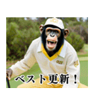 チンパのゴルファー 【毎日使える】2（個別スタンプ：26）
