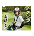 チンパのゴルファー 【毎日使える】2（個別スタンプ：27）