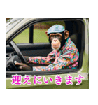 チンパのゴルファー 【毎日使える】2（個別スタンプ：31）