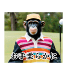 チンパのゴルファー 【毎日使える】2（個別スタンプ：35）