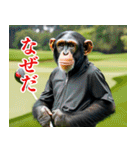 チンパのゴルファー 【毎日使える】2（個別スタンプ：39）