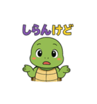 応援カメさんの元気スタンプ（個別スタンプ：11）