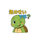 応援カメさんの元気スタンプ（個別スタンプ：12）