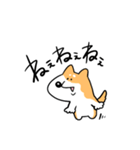 柴犬のコタロウです。（個別スタンプ：1）