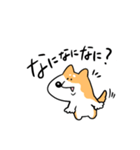 柴犬のコタロウです。（個別スタンプ：2）
