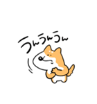 柴犬のコタロウです。（個別スタンプ：3）
