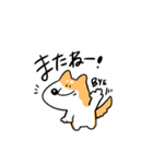 柴犬のコタロウです。（個別スタンプ：5）