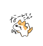 柴犬のコタロウです。（個別スタンプ：6）
