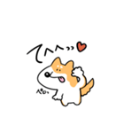 柴犬のコタロウです。（個別スタンプ：7）