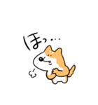 柴犬のコタロウです。（個別スタンプ：8）