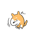 柴犬のコタロウです。（個別スタンプ：13）