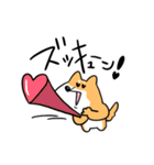 柴犬のコタロウです。（個別スタンプ：14）