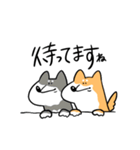 柴犬のコタロウです。（個別スタンプ：15）