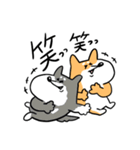 柴犬のコタロウです。（個別スタンプ：16）