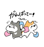 柴犬のコタロウです。（個別スタンプ：17）