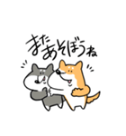 柴犬のコタロウです。（個別スタンプ：19）