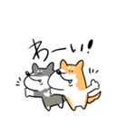 柴犬のコタロウです。（個別スタンプ：20）